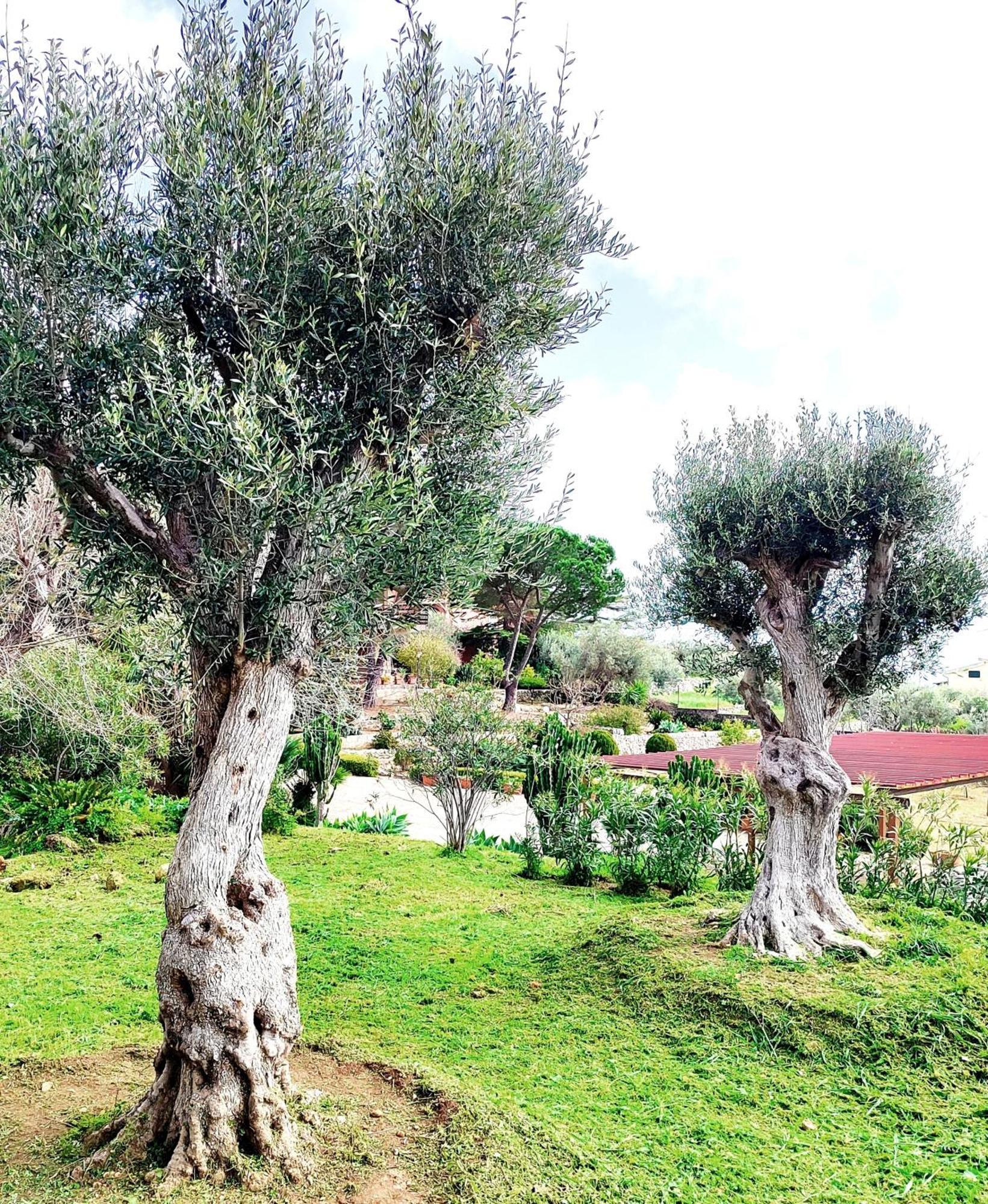 Orizzonte Sullo Jonio Holiday home *